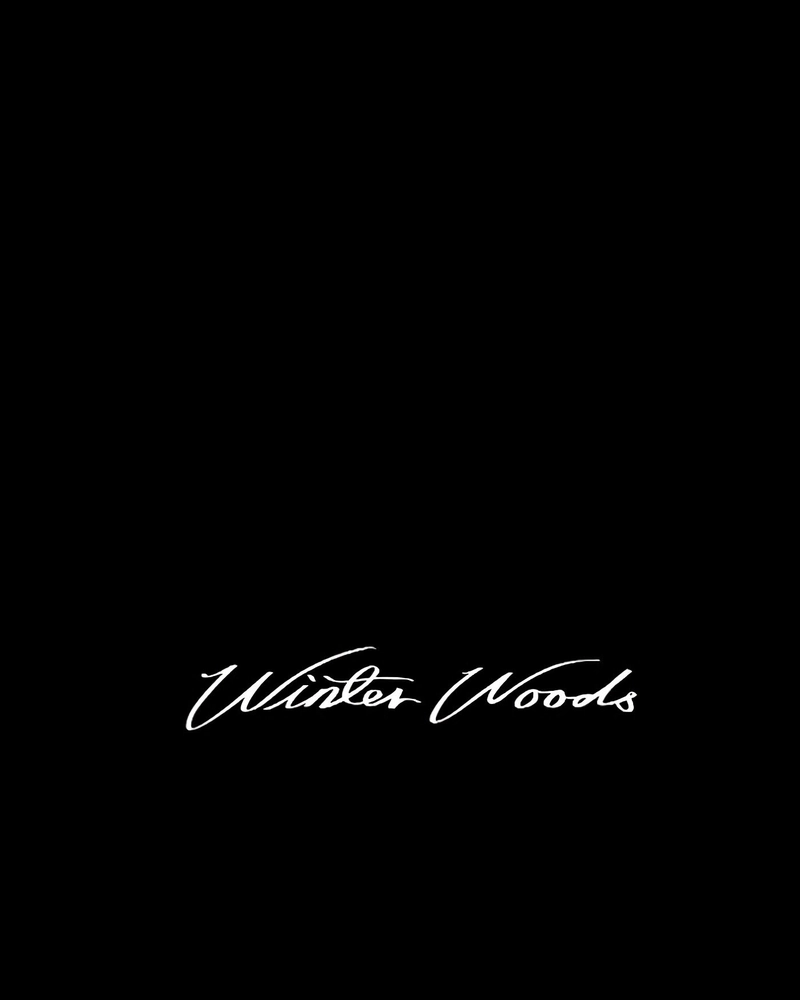 Winter Woods Capítulo 14 Página 28