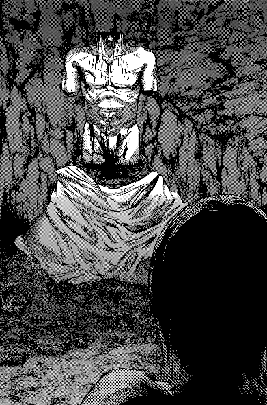 Tokyo Ghoul:re Capítulo 79 Página 19