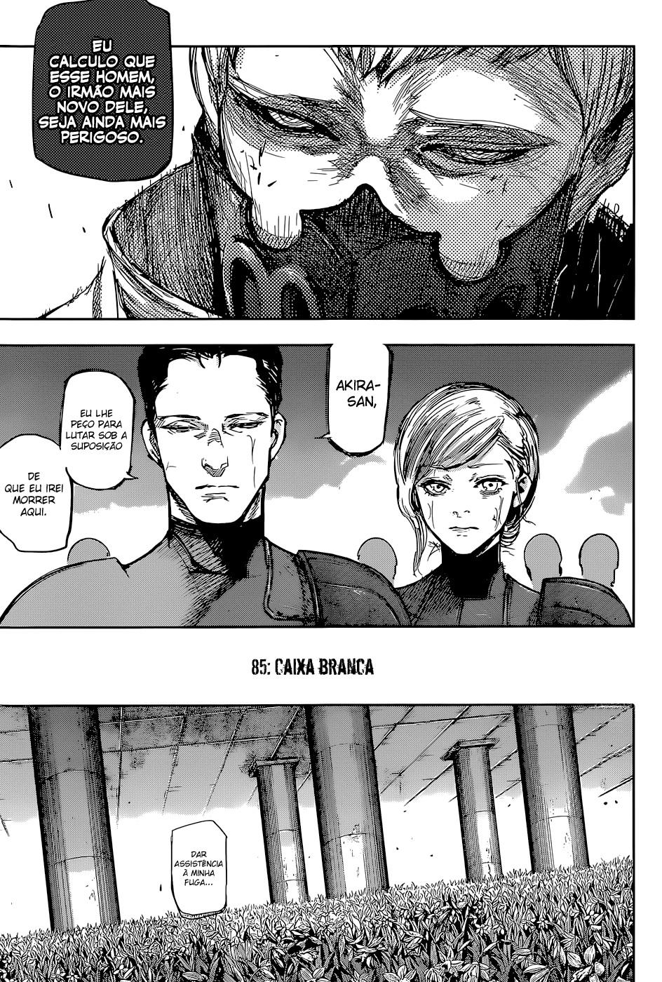 Tokyo Ghoul:re Capítulo 85 Página 13
