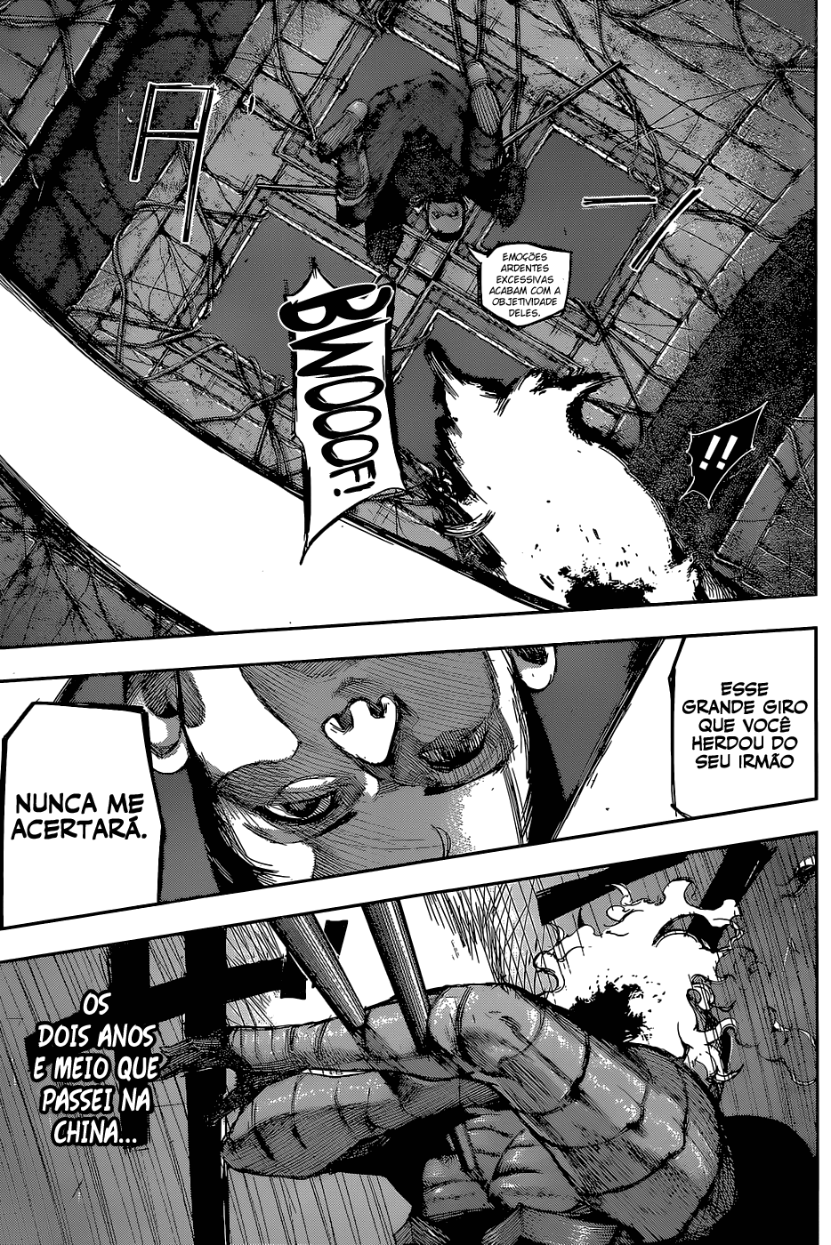 Tokyo Ghoul:re Capítulo 88 Página 15