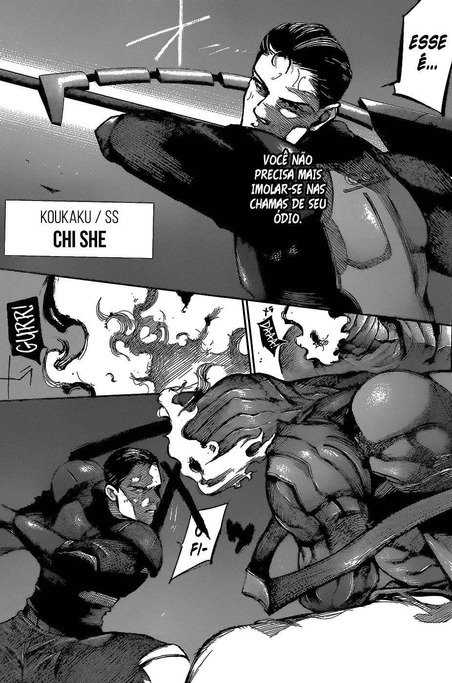 Tokyo Ghoul:re Capítulo 88 Página 17