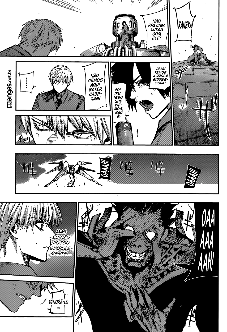 Tokyo Ghoul:re Capítulo 113 Página 12