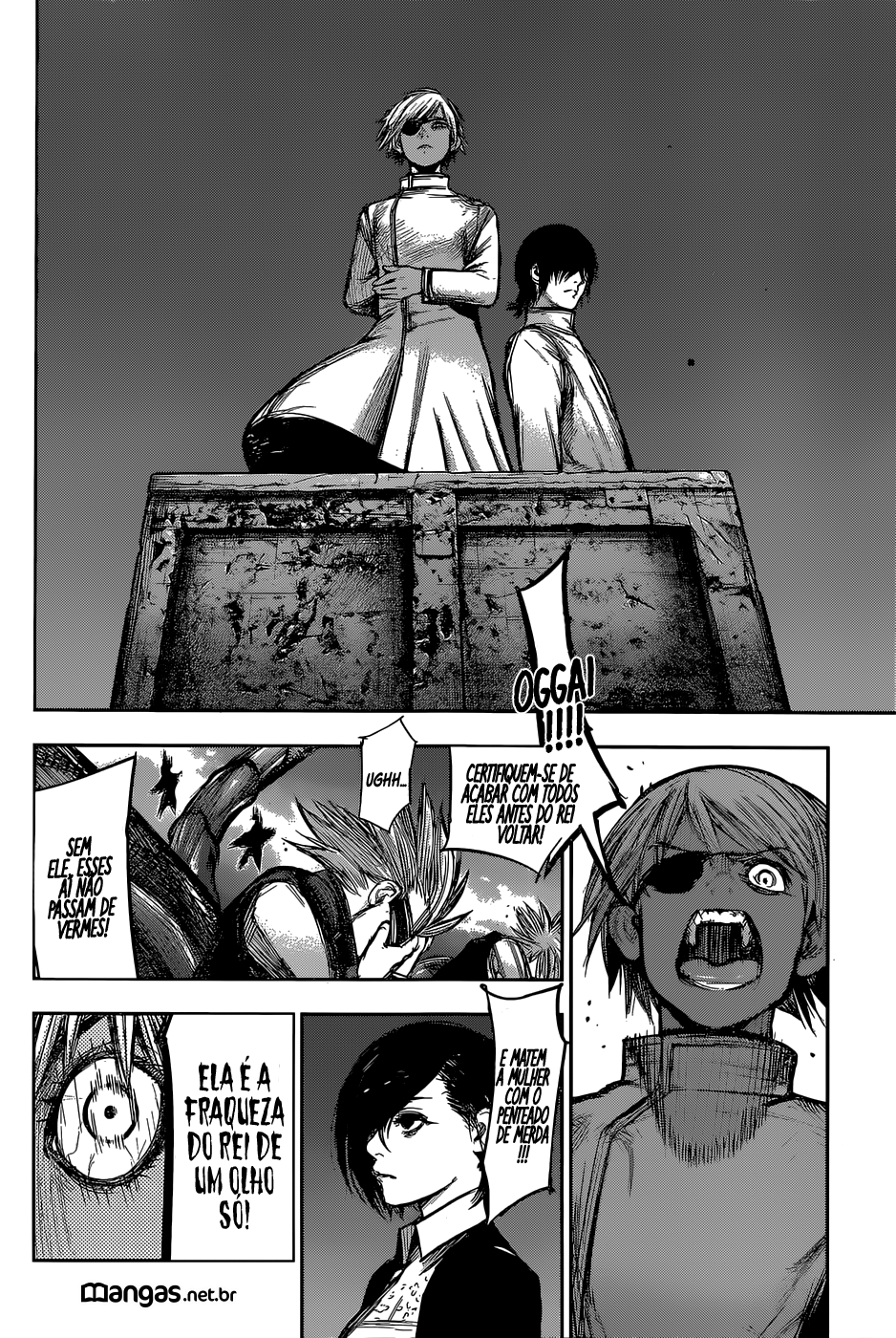 Tokyo Ghoul:re Capítulo 135 Página 14