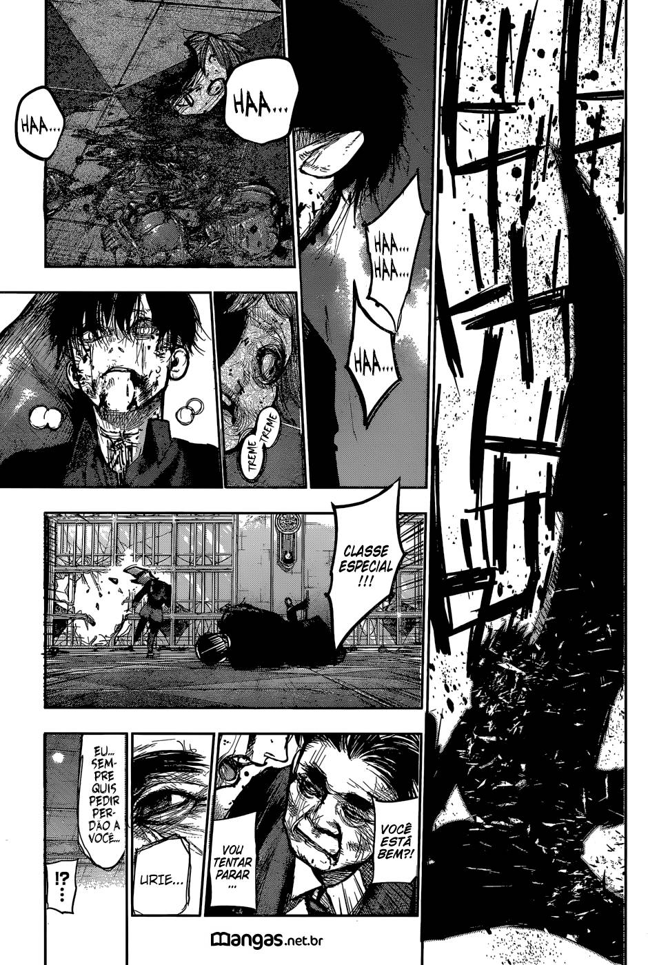Tokyo Ghoul:re Capítulo 137 Página 12