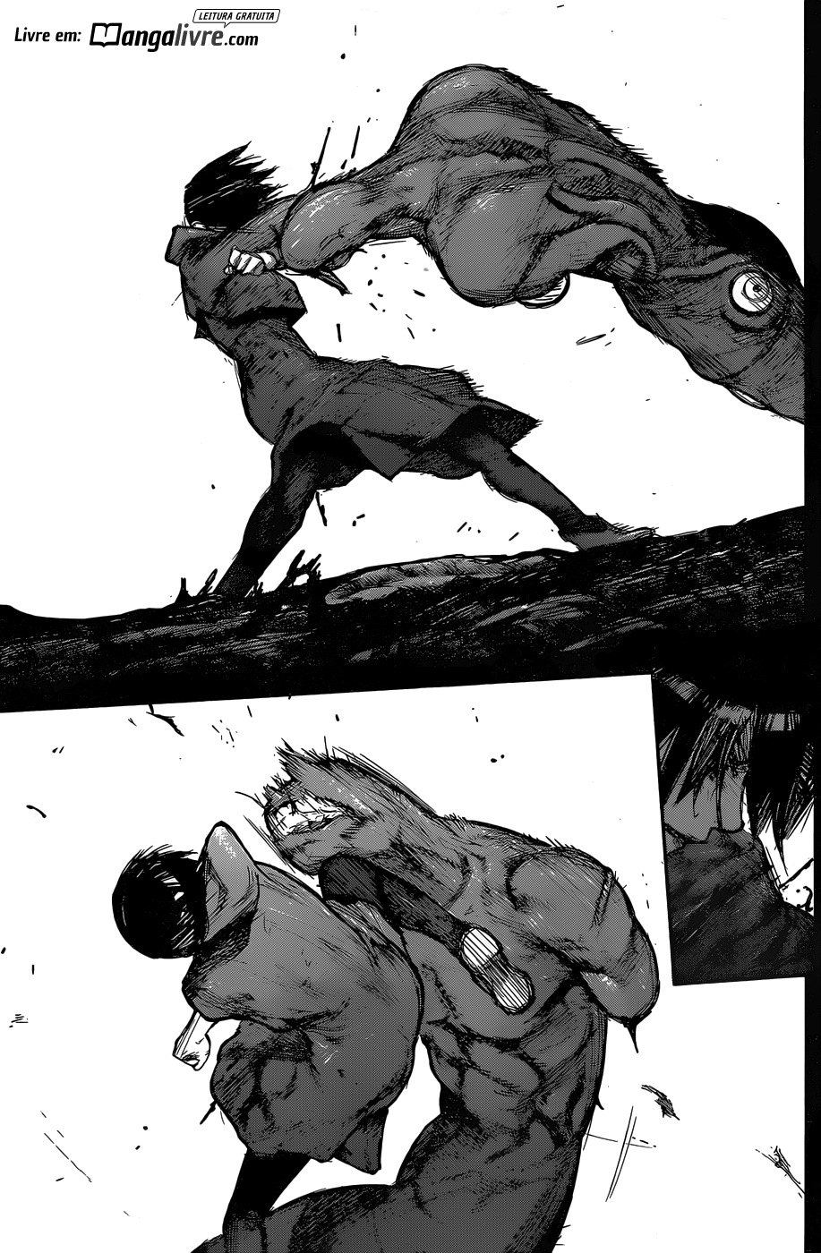 Tokyo Ghoul:re Capítulo 160 Página 13