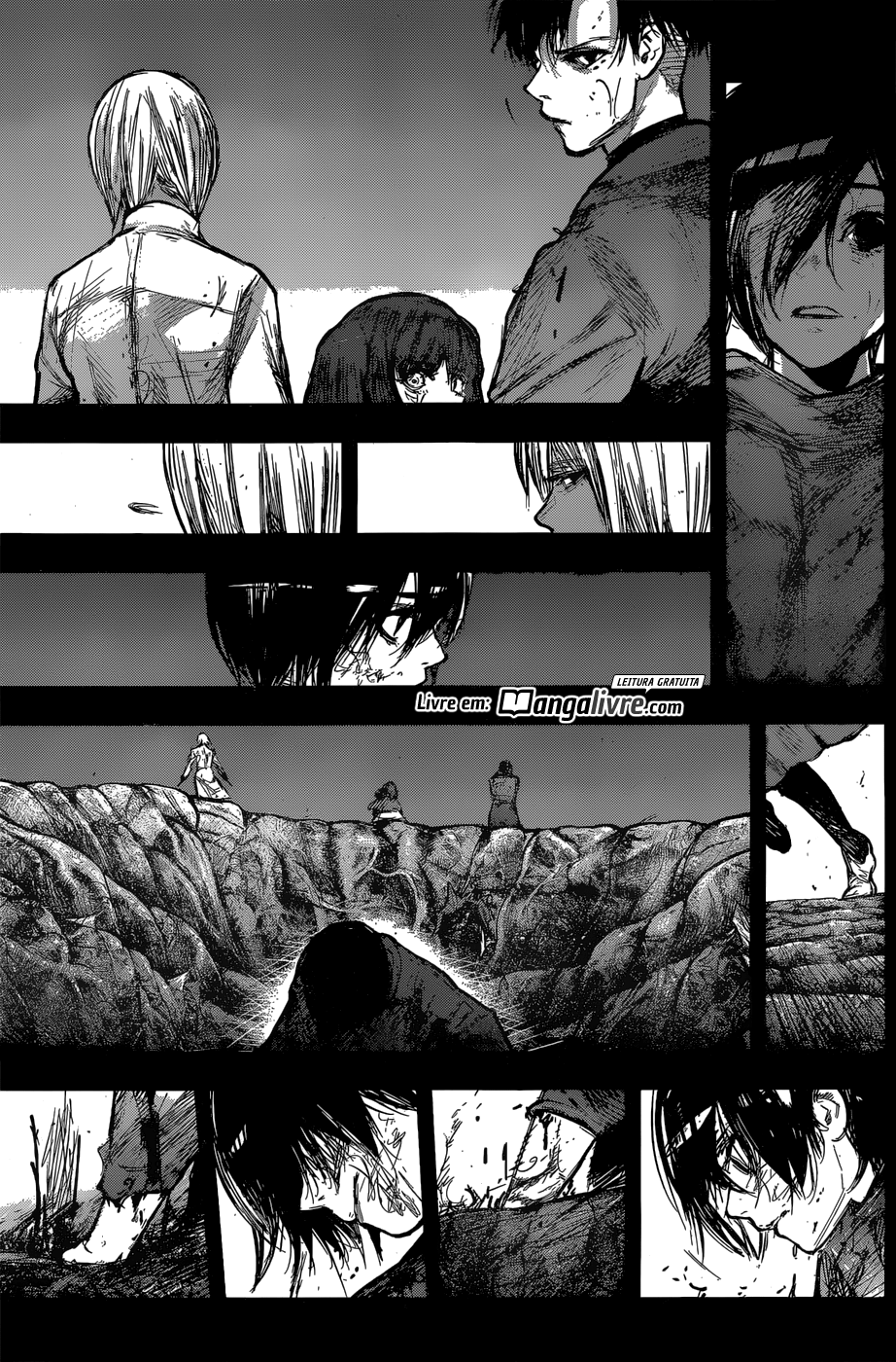 Tokyo Ghoul:re Capítulo 160 Página 17