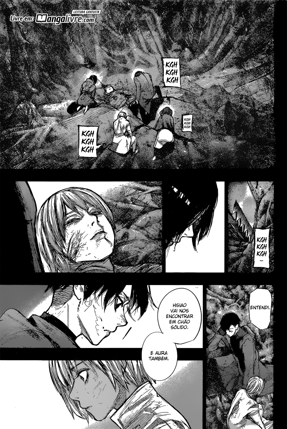 Tokyo Ghoul:re Capítulo 161 Página 5