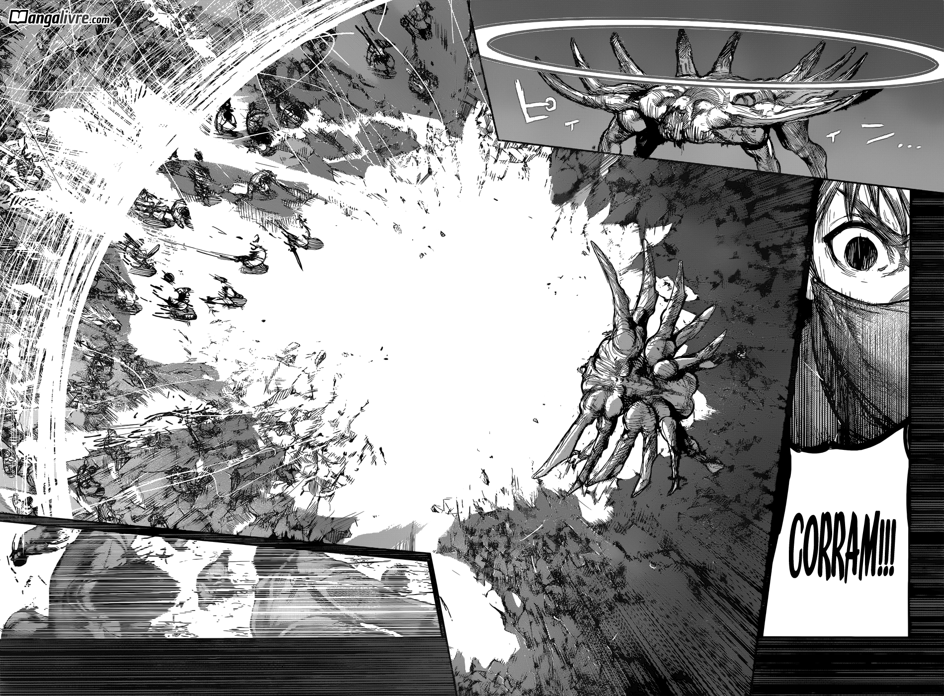 Tokyo Ghoul:re Capítulo 167 Página 12