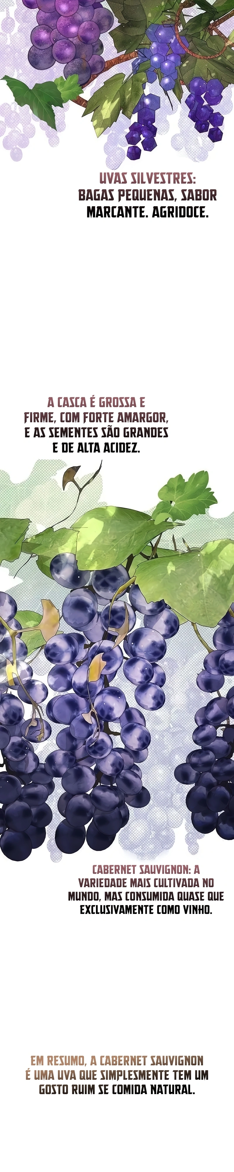 Deus Dos Vinhos Capítulo 6 Página 31