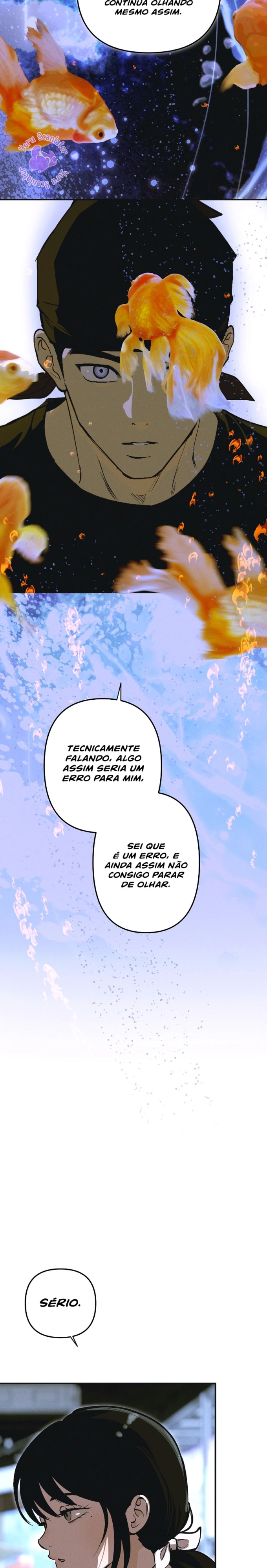 Termos de Uso do Protótipo Capítulo 5 Página 12