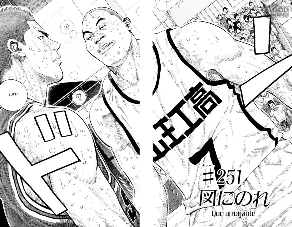 SLAM DUNK Capítulo 251 Página 2