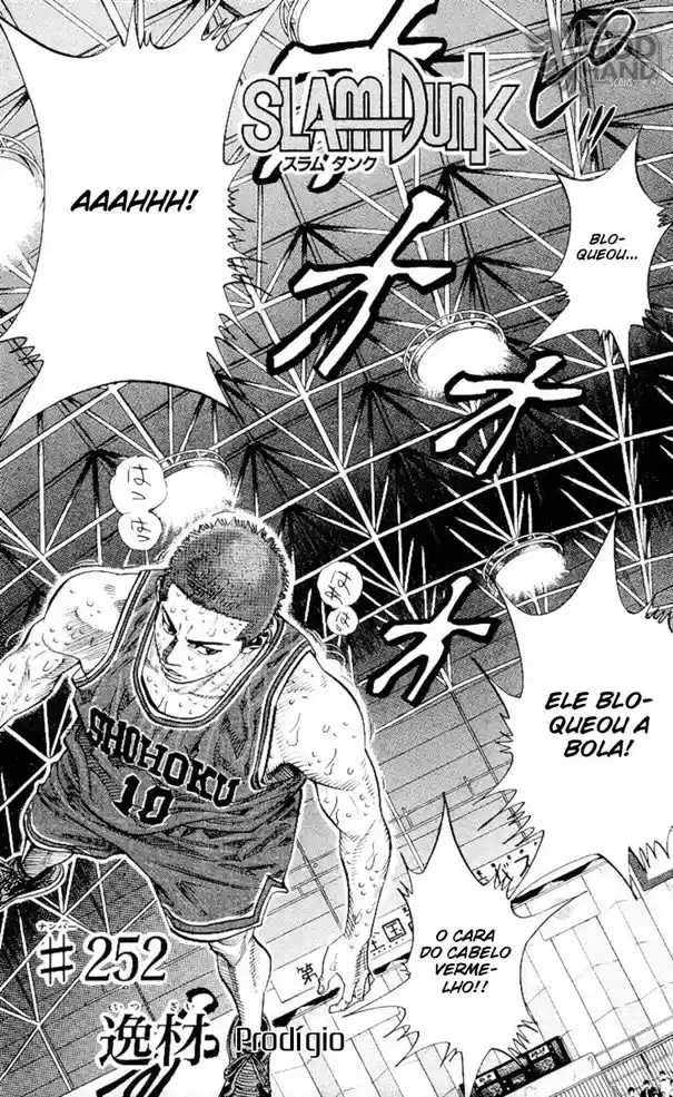 SLAM DUNK Capítulo 252 Página 4