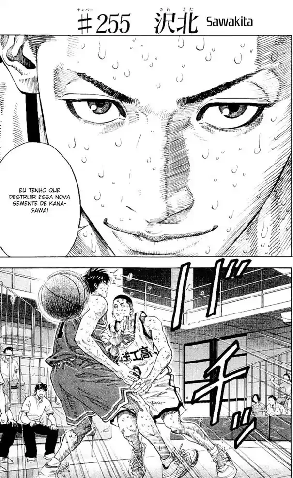 SLAM DUNK Capítulo 255 Página 2
