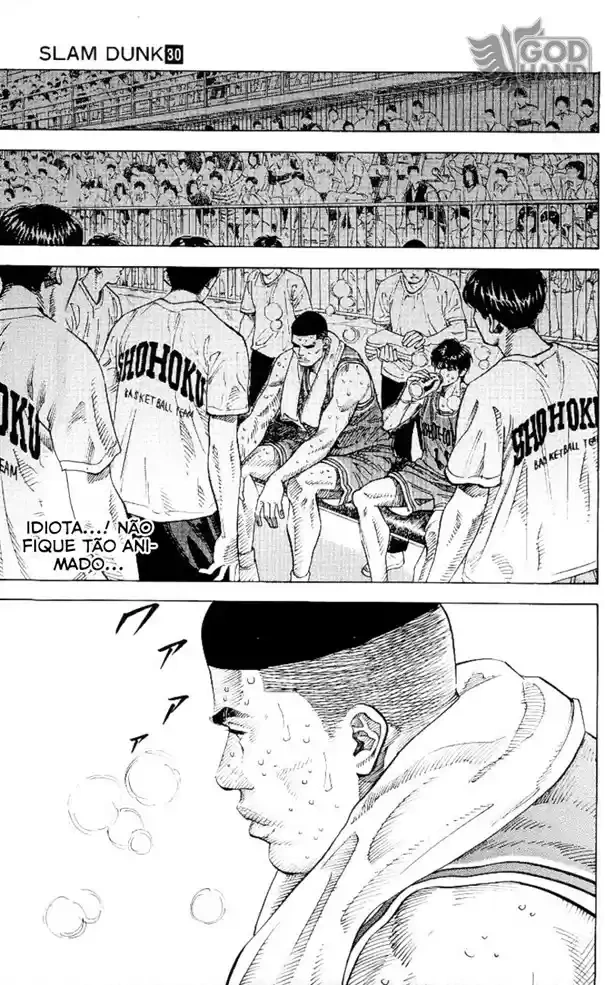 SLAM DUNK Capítulo 266 Página 14