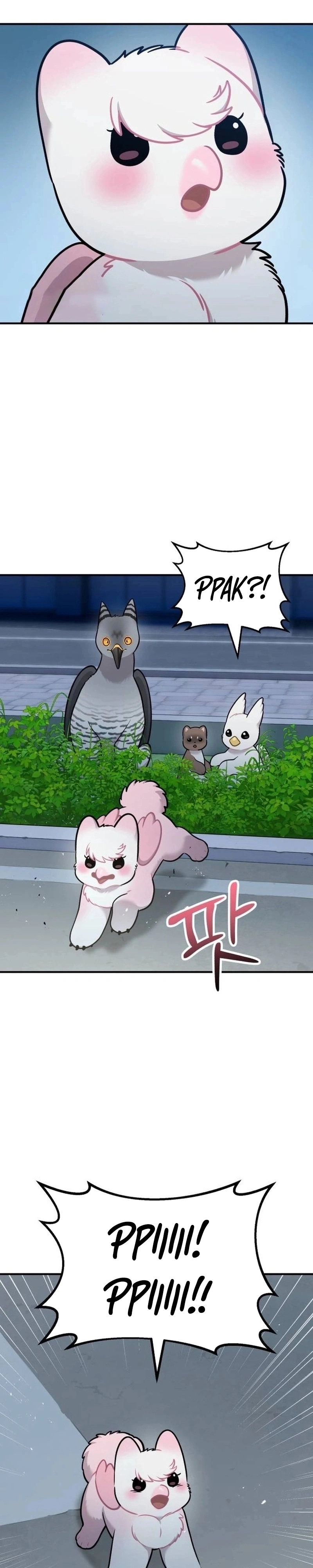 Olá, Griffin, o pássaro Fofinho! Capítulo 68 Página 17