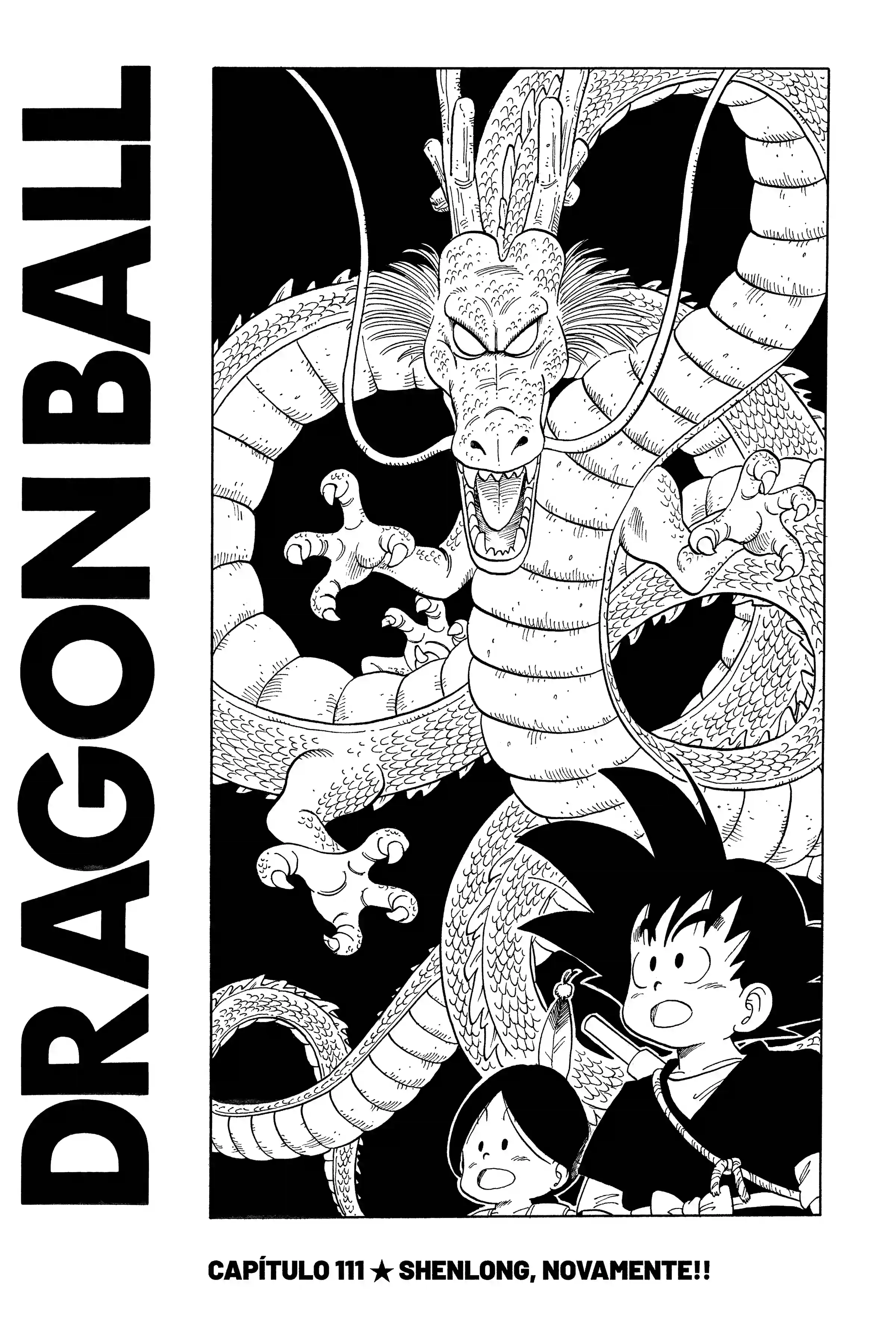 Bola de Dragão Capítulo 111 Página 1