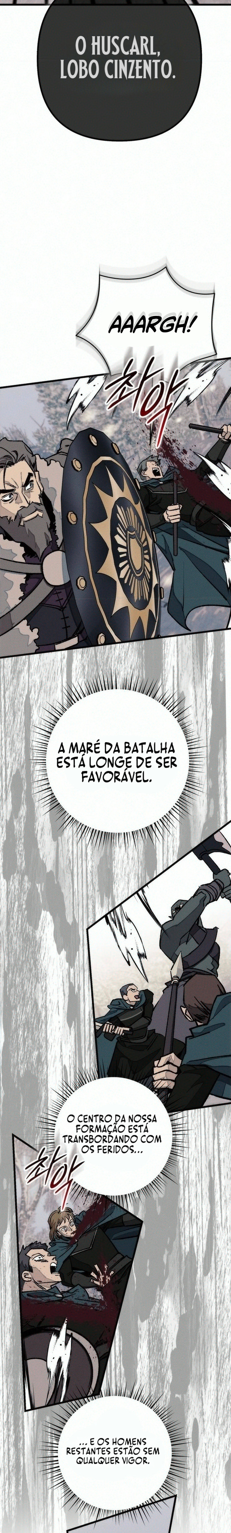O Rei Cavaleiro de Cabelo Negro Capítulo 36 Página 15
